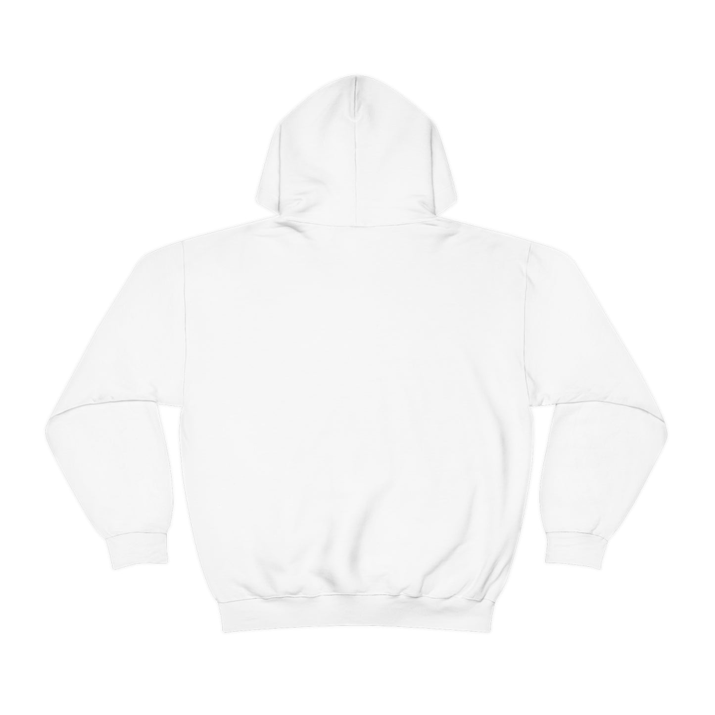 Anti Algorithm Unisex Hoodie