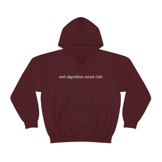 Anti Algorithm Unisex Hoodie